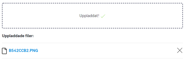 4. Feedback and table when uploading is finished